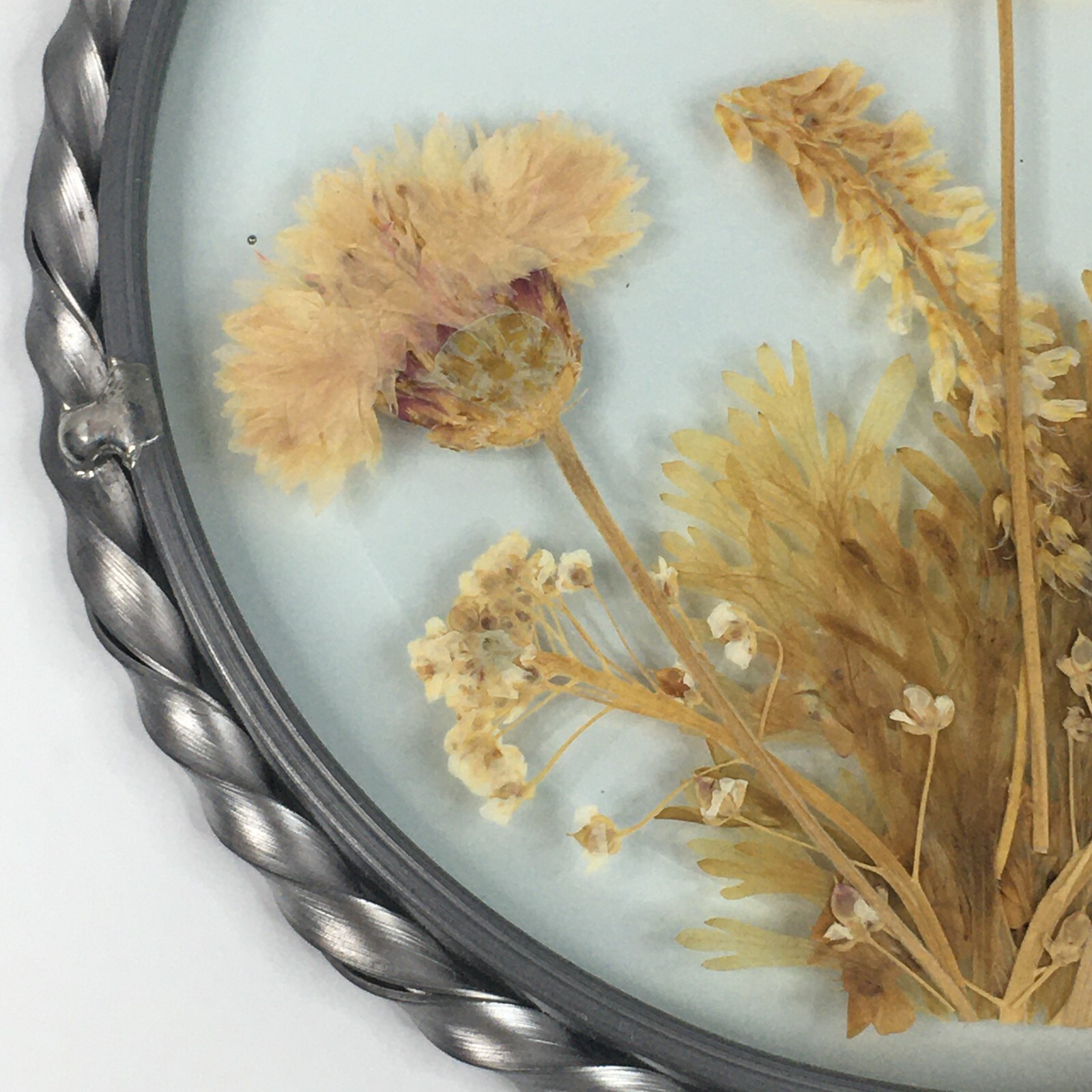 Lasting Impressions Real Flowers Glass Wall Hanging Pressed Flowers USA Floral