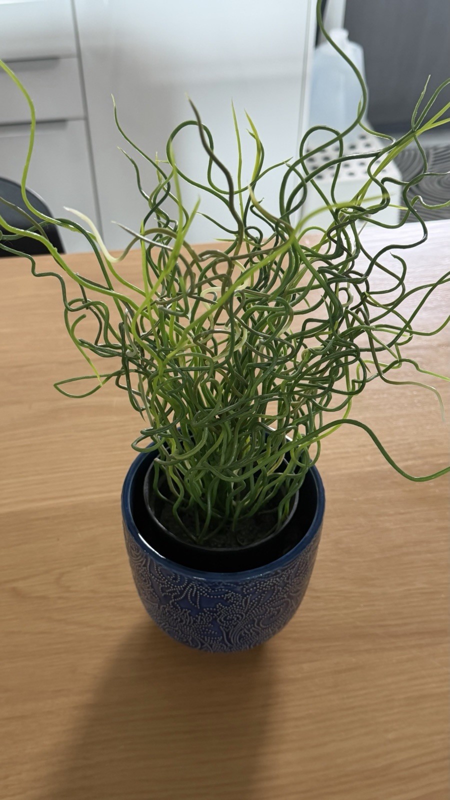 Artificial Potted Plant (Faux Plant for Home/Office Decor Green) W Blue Ceramic