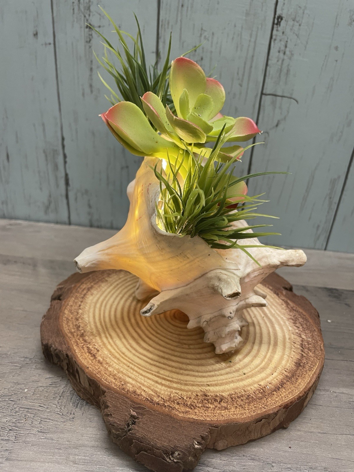 Artificial Succulent Arrangement in Shell on Wood Base Green Pink White