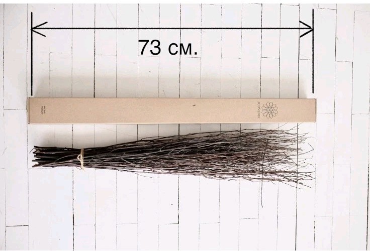 ECOVENIK 25 psc – Branches – 73 cm, Natural Birch Twigs, Pack of 20-25 Stems
