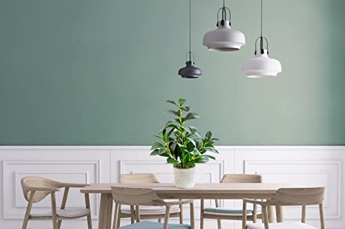 16 inch Artificial Indoor Plants Office Desk Faux Plant Peperomia Ficus Plant