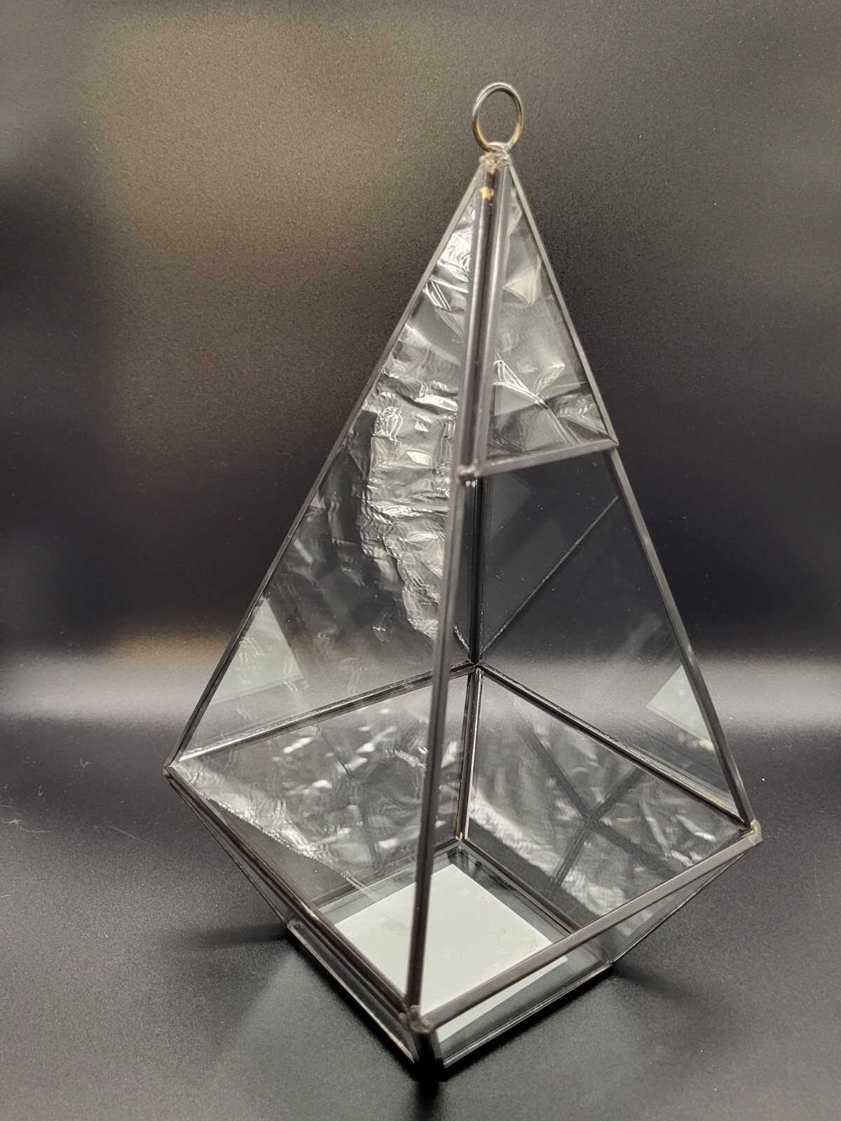 Ashland Black Metal And Glass Hanging Terrarium