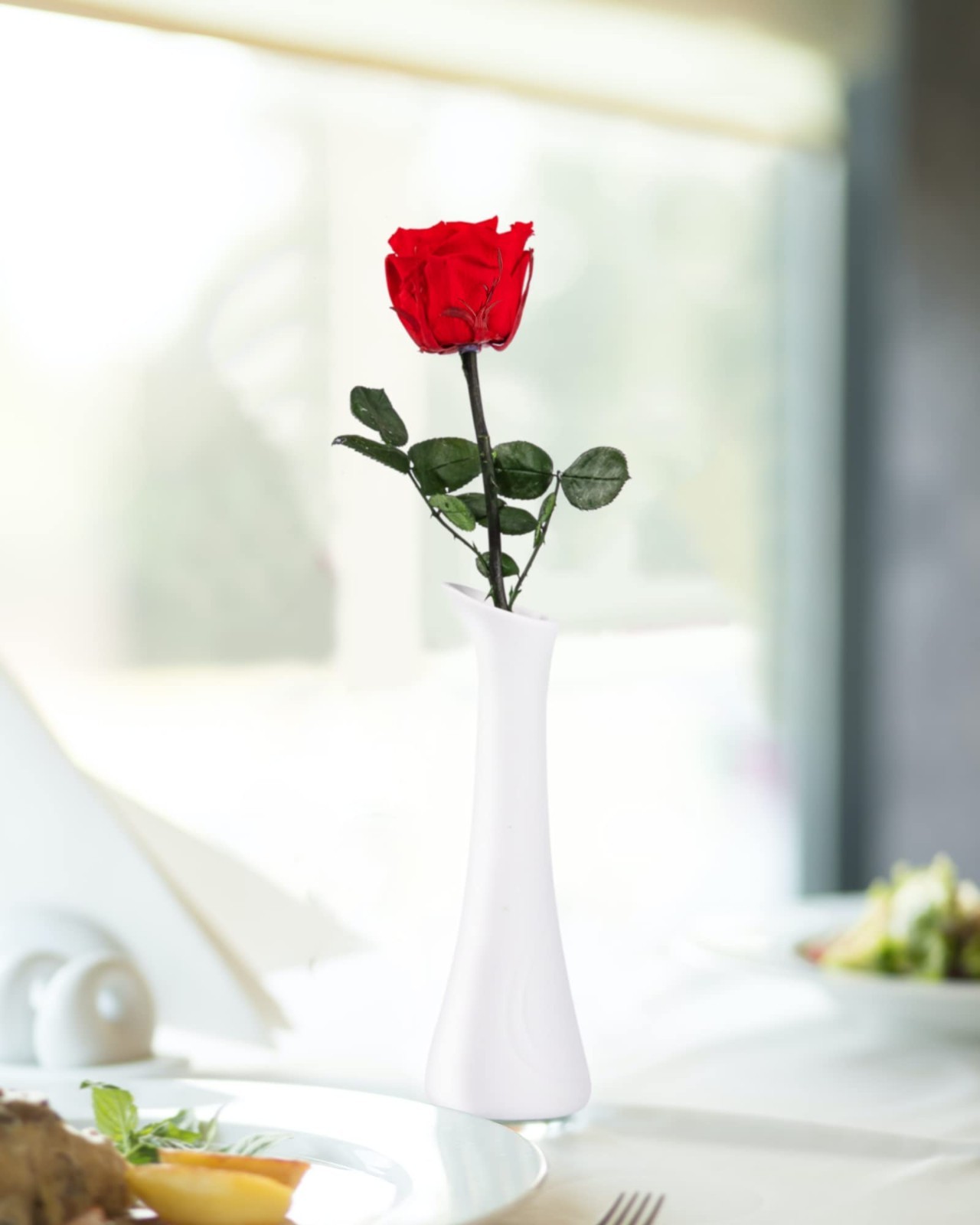 Preserved Real Rose Gift for Women, Mom Birthday Valentines Flowers