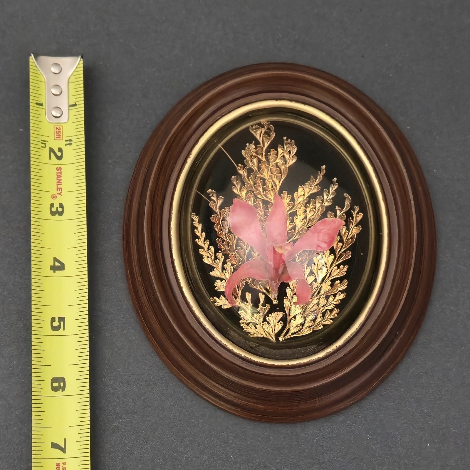 Vintage Orchid Flora Hawaiian Preserved 24K Gold Pink Fern Framed Dome 6″X5″