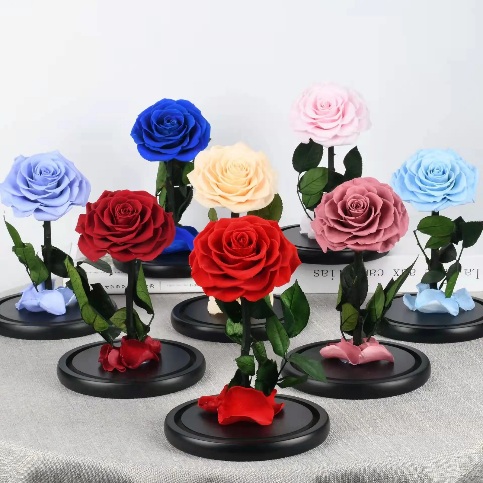 Unbreakable Love: Immortal Preserved Rose Dome – Valentine’s Day Gift