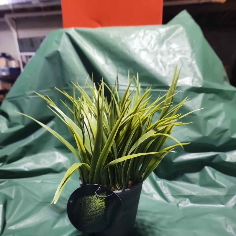 Faux Green Grass Plant in Black Pot Indoor Outdoor Decor