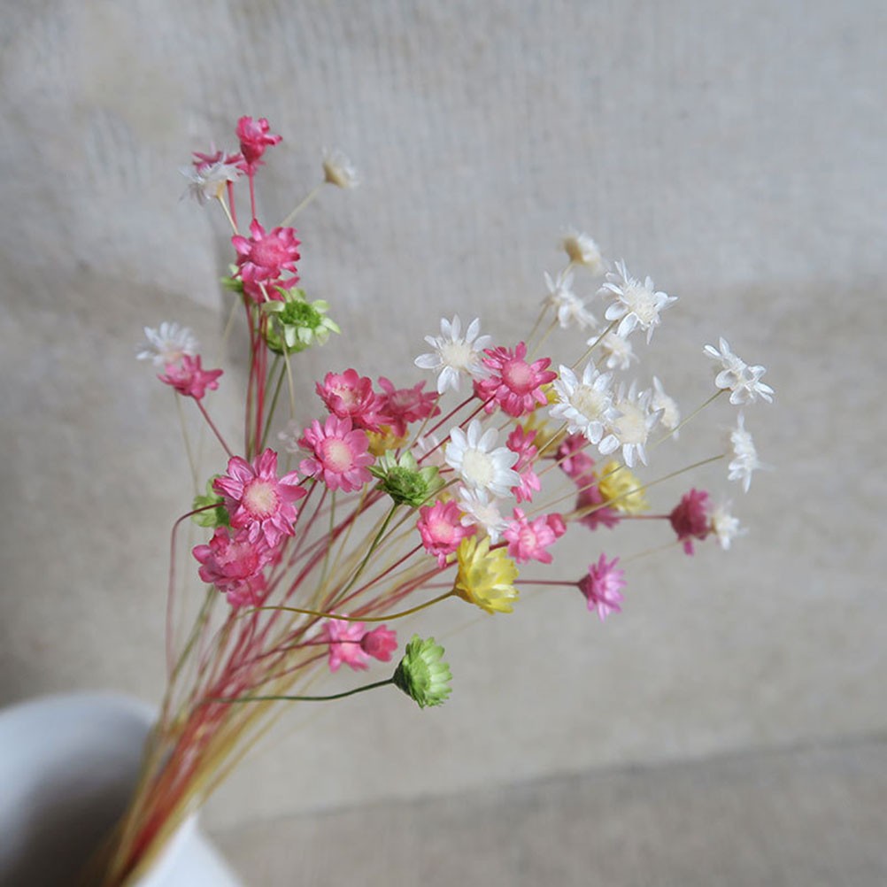 100Pcs Handmade Small Star Flower Dried Flowers Mini Daisy Yellow Floral Display