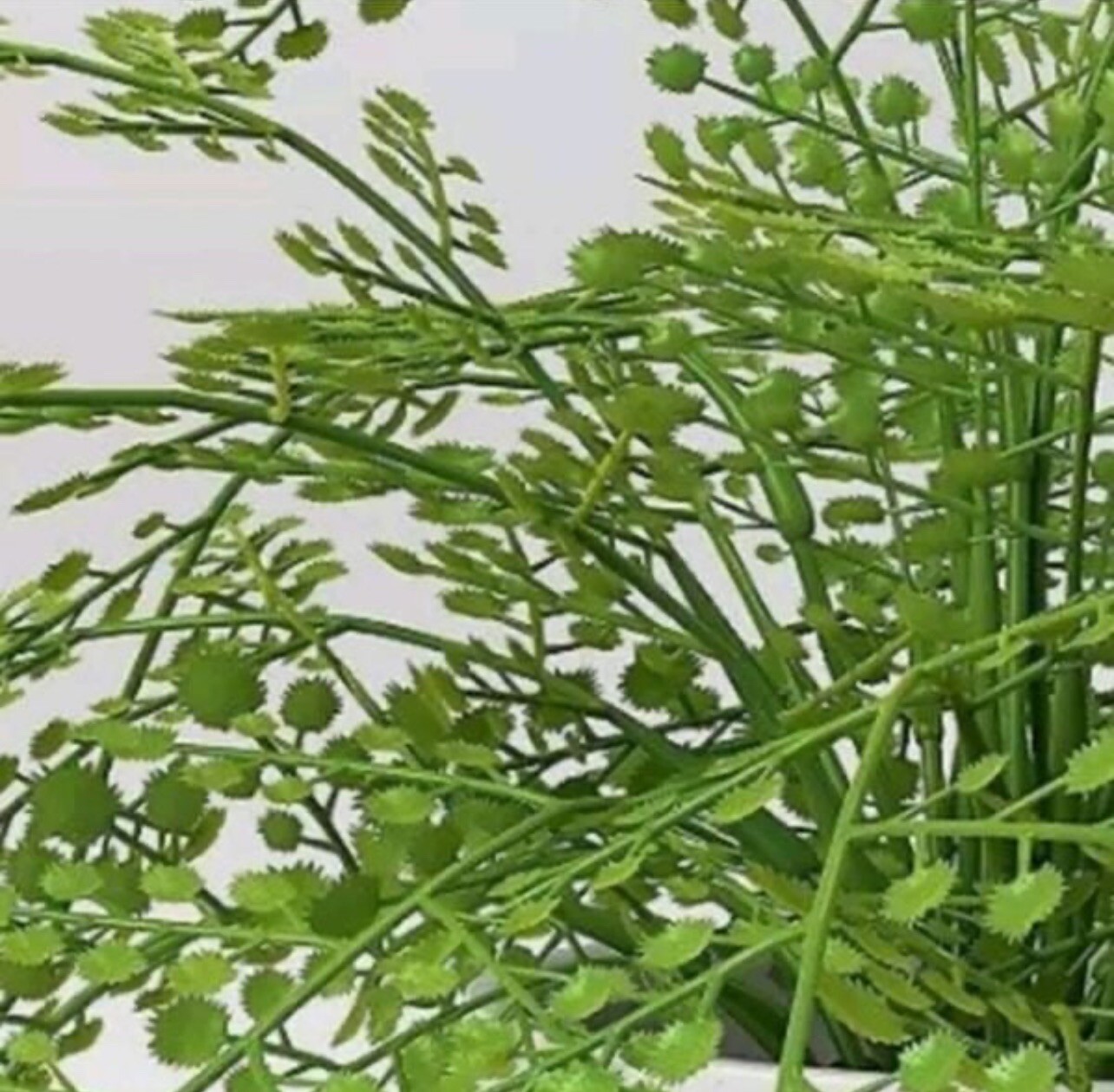 Threshold 14” Faux Fern Modern Ceramic Pot Artificial Arrangement – New