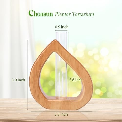Propagation Stations Planter Terrariums Wall Hanging Test Tube Desk 5.3*5.9IN