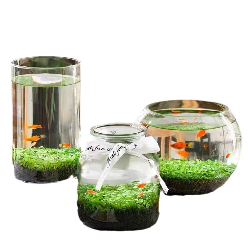 Aquarium Plant seeds Fish Tank Aquatic Water Grass Foreground Easy Plants 10g