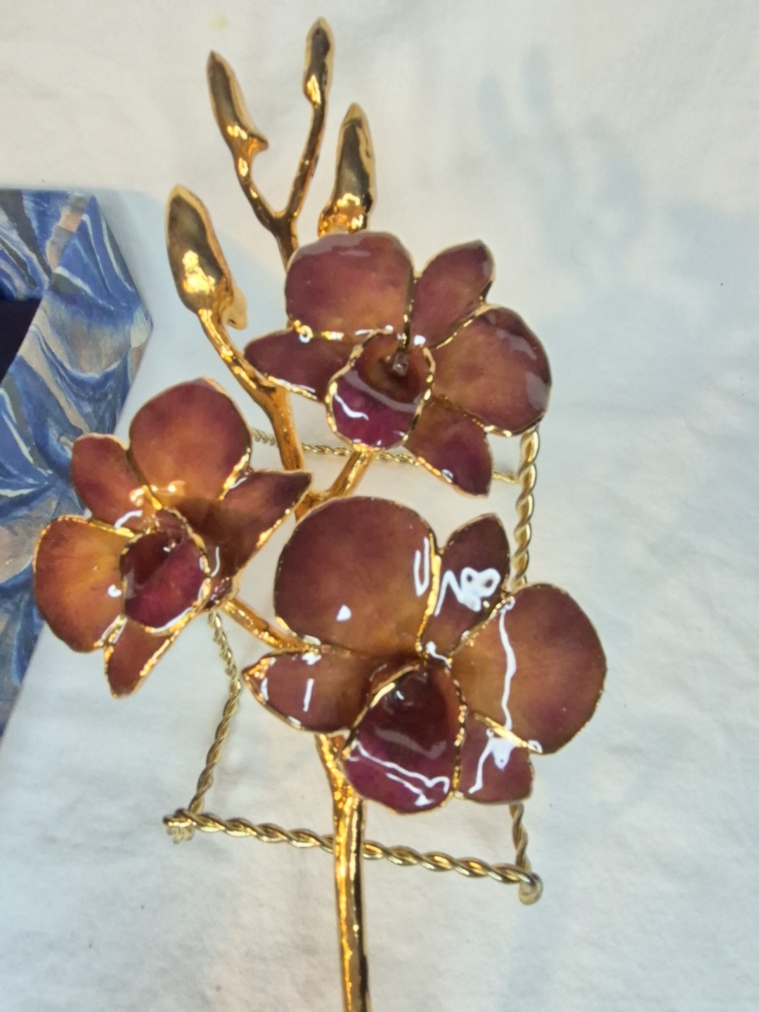 The Rose Lady 24Kt Gold Dipped Long Stem REAL Dendrobium Orchid NIB