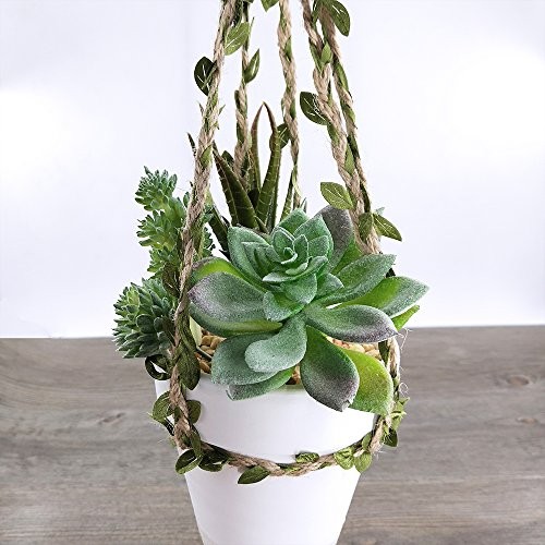 Supla 5 Pcs Assorted Artificial Succulents Plants Unpotted Small Green Cactus