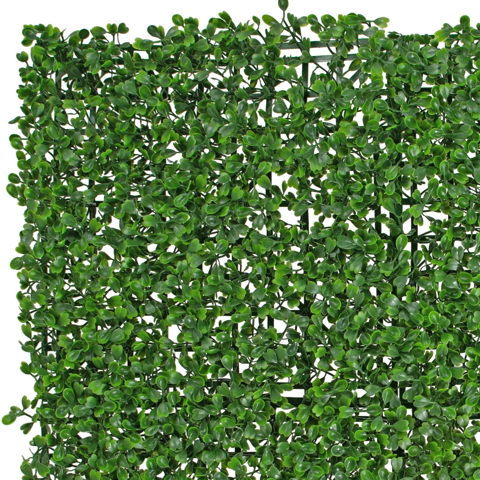 Artificial Boxwood Topiary Wall Panels, Green Hedges and Privacy Screen, 8 SQFT