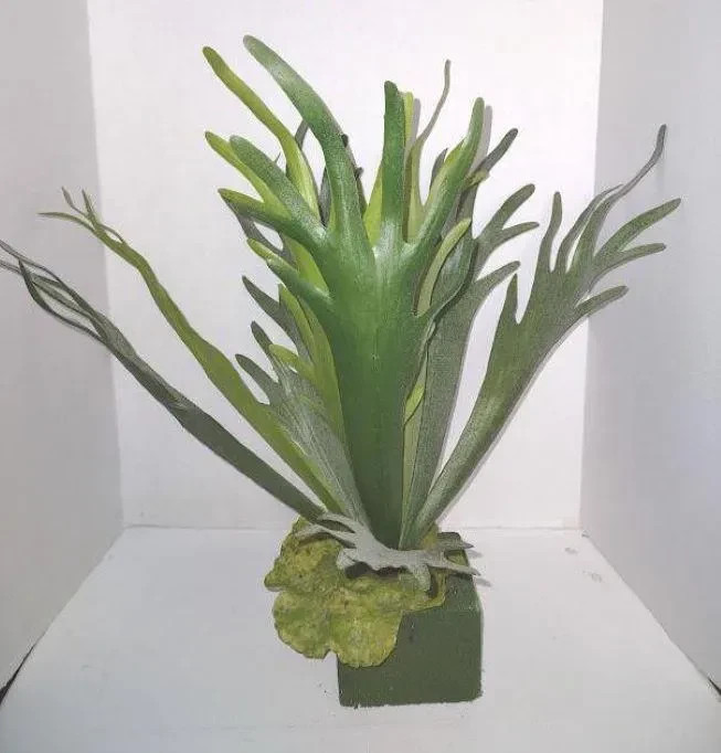 Large Artificial Large Staghorn Fern