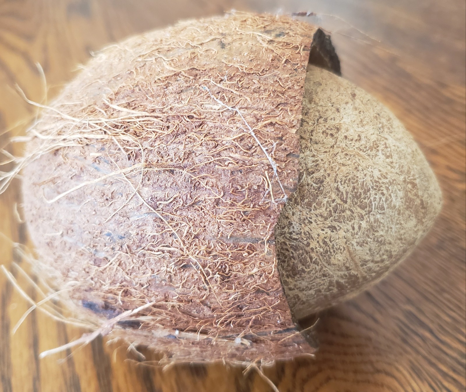 Unusual Natural Dried Coconut Shell Whole Husk Rustic Tiki Decor & Crafts