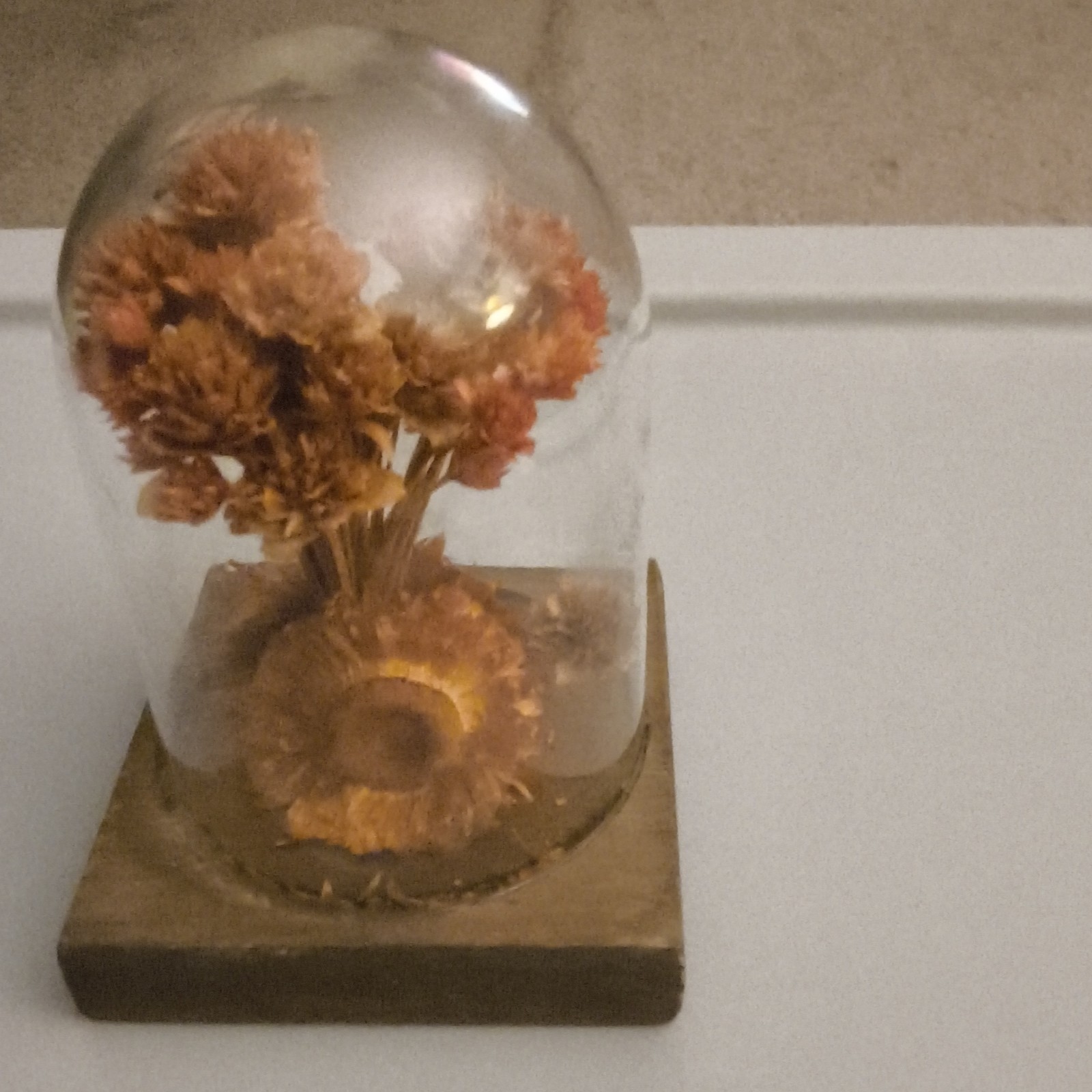 Dried Flower Arrangement Centerpiece Under Glass Dome Cloche on Wood Base