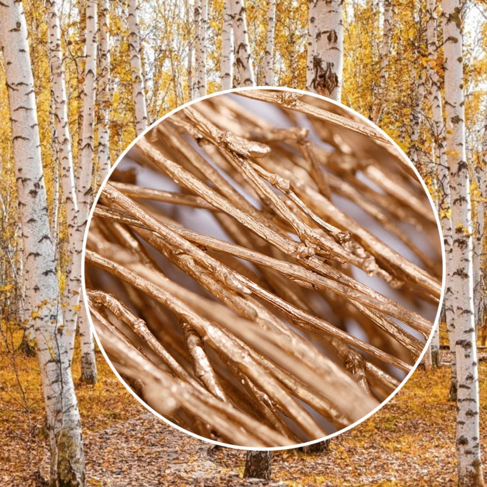 Real Dried Birch Twigs – Painted Golden Decorative Birch Branches for Vase, C…
