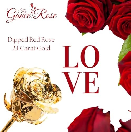 Handmade 24K Dipped Rose | Antique Shiny & Real Combo 7 Inch & 11 Inch Gold