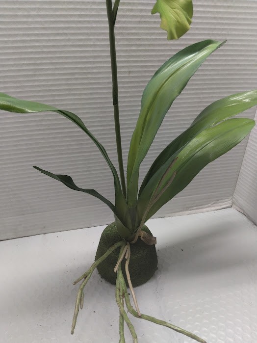 ARTIFICIAL miltoniopsis orchid plant