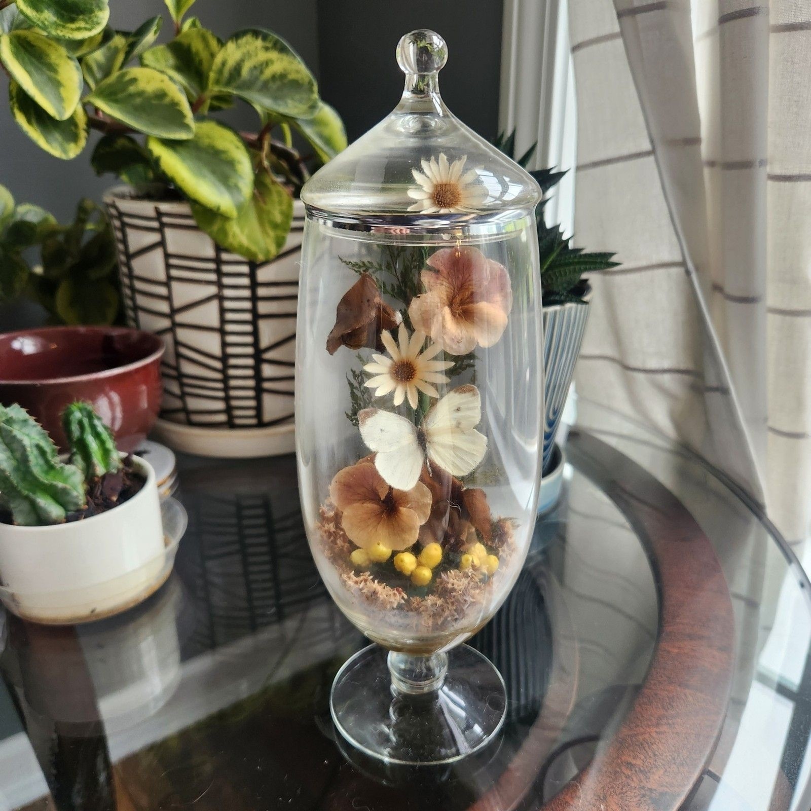 Vtg Apothecary Jar Sealed Butterfly Terrarium Floral Dried Flowers Cottagecore