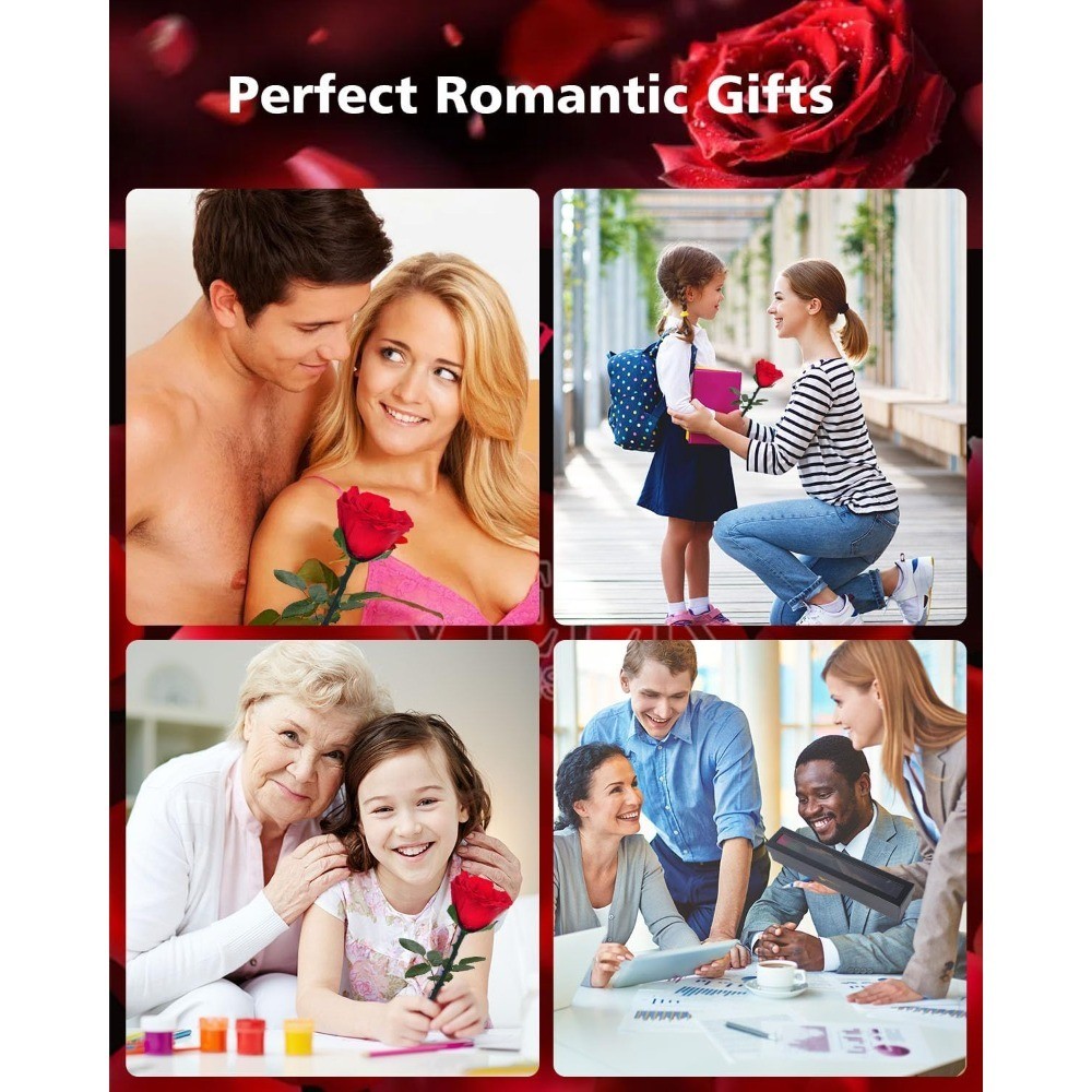 Preserved Real Rose Gift for Women Valentine Mother Day Birthday Christmas