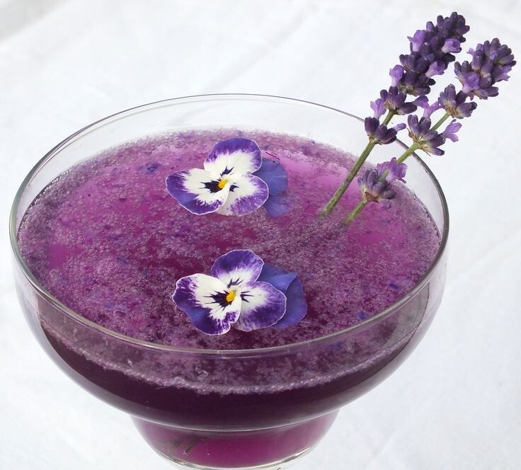 Fresh Edible/Garnish Flowers Pastel Violas Free Overnight Ship WEDNESDAYS