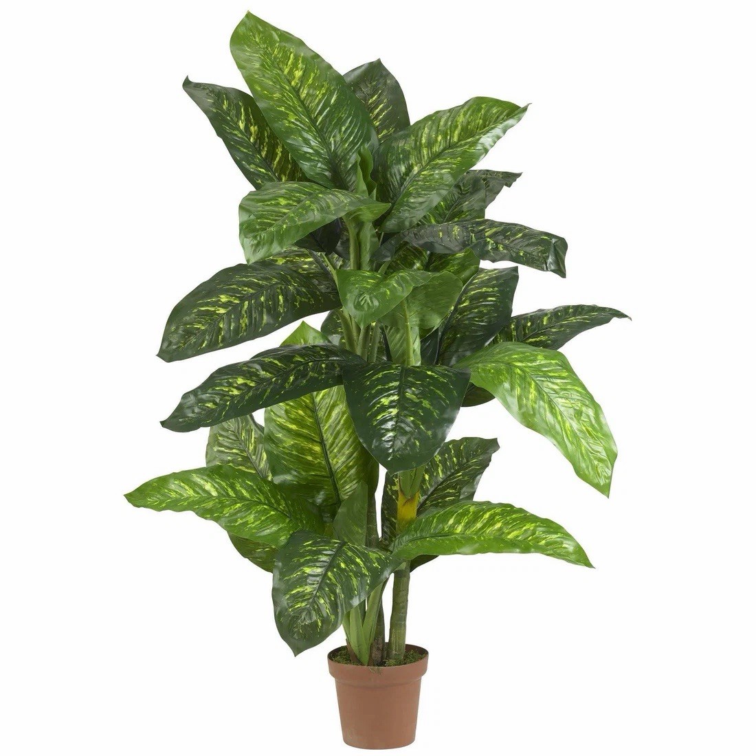 5′ Artificial Dieffenbachia Plant (Real Touch)