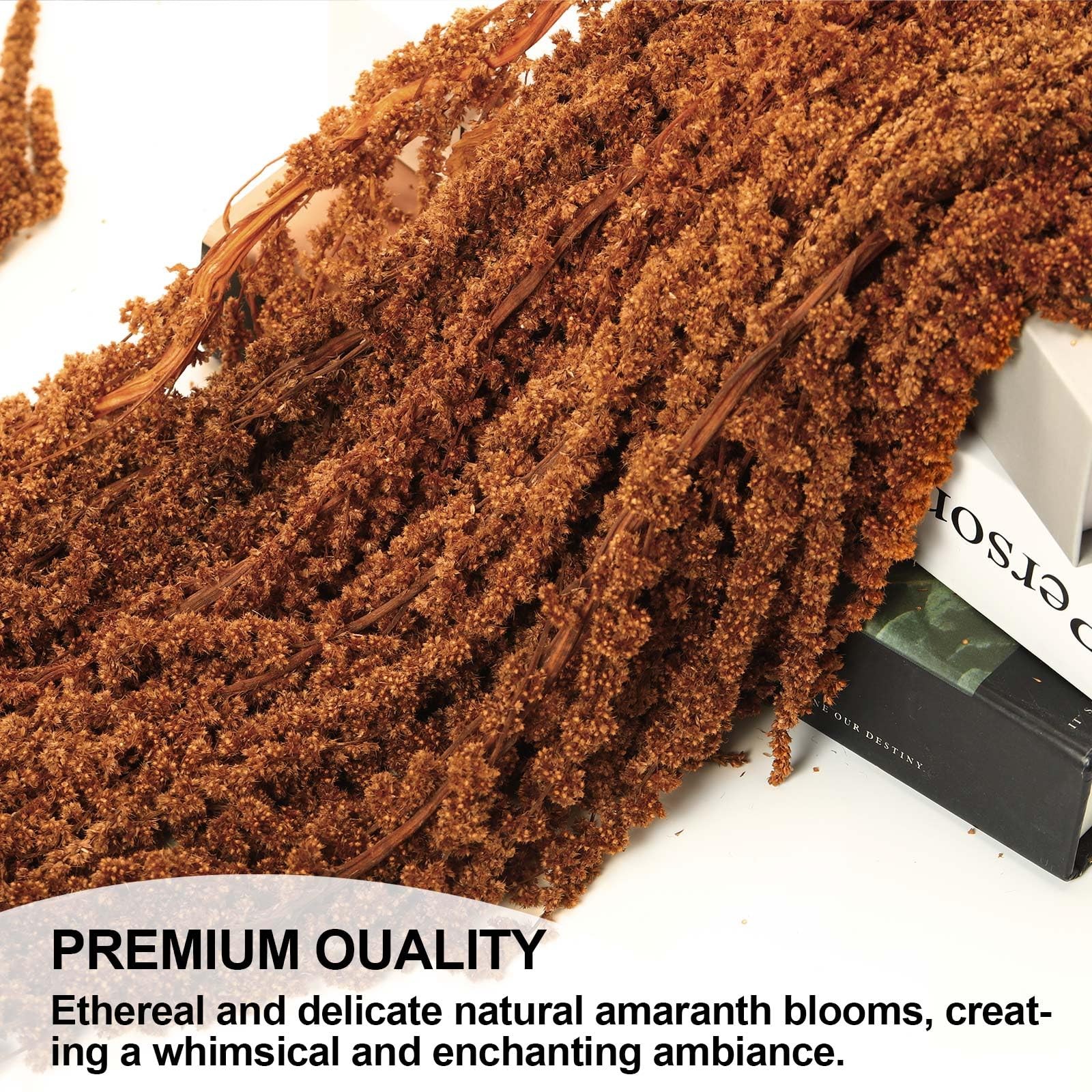 5 PCS Dried Amaranthus Hanging Flowers Natural Preserved Brown 24 Inch