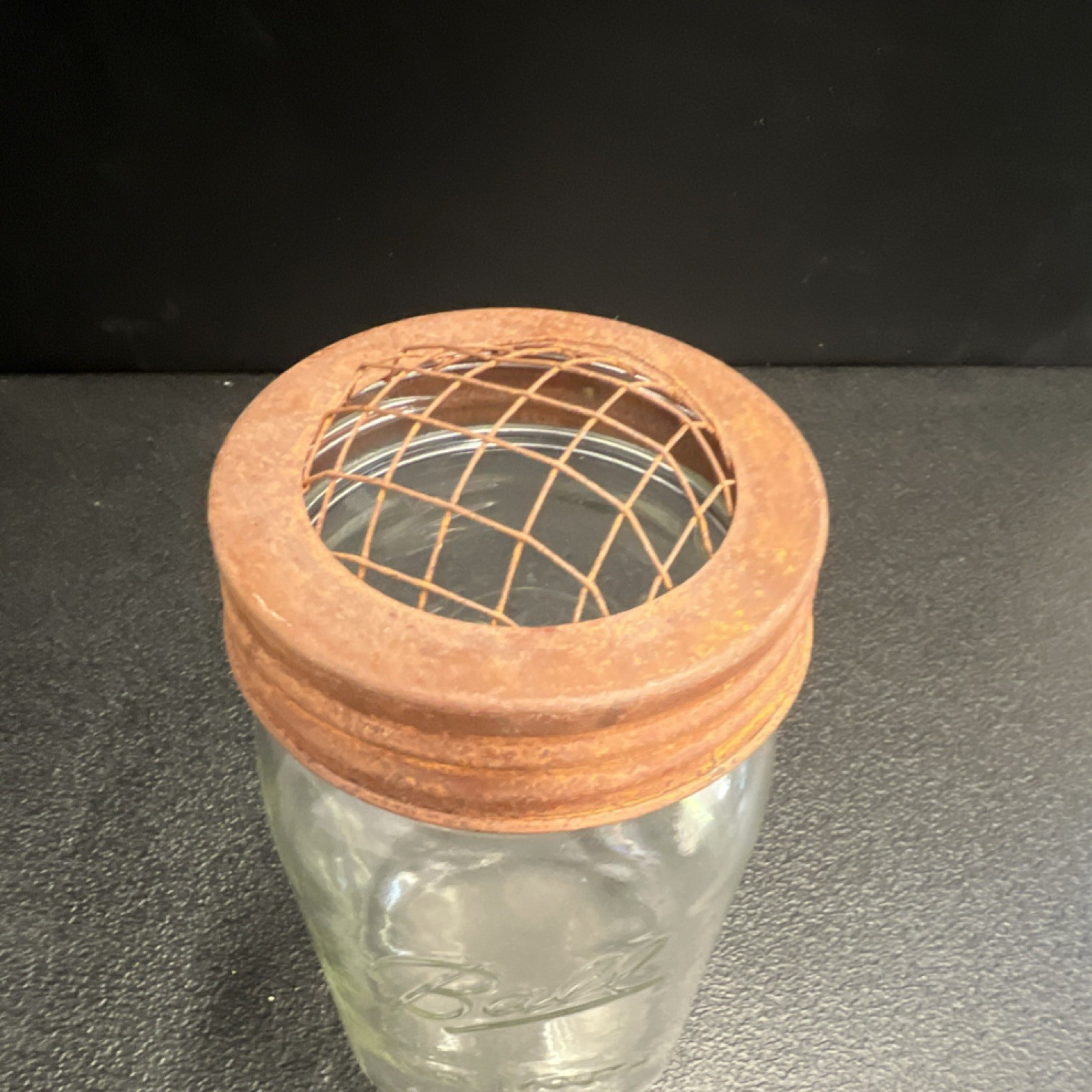 Ball Wide Mouth Glass Mason Jar Flower Vase with Metal Grid Lid