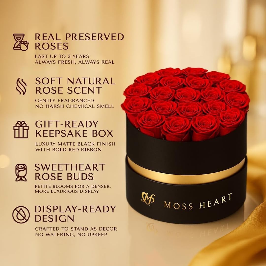 20 Mini Preserved Roses in Round Luxury Gift Box – Lasting Real Roses for Gifts,