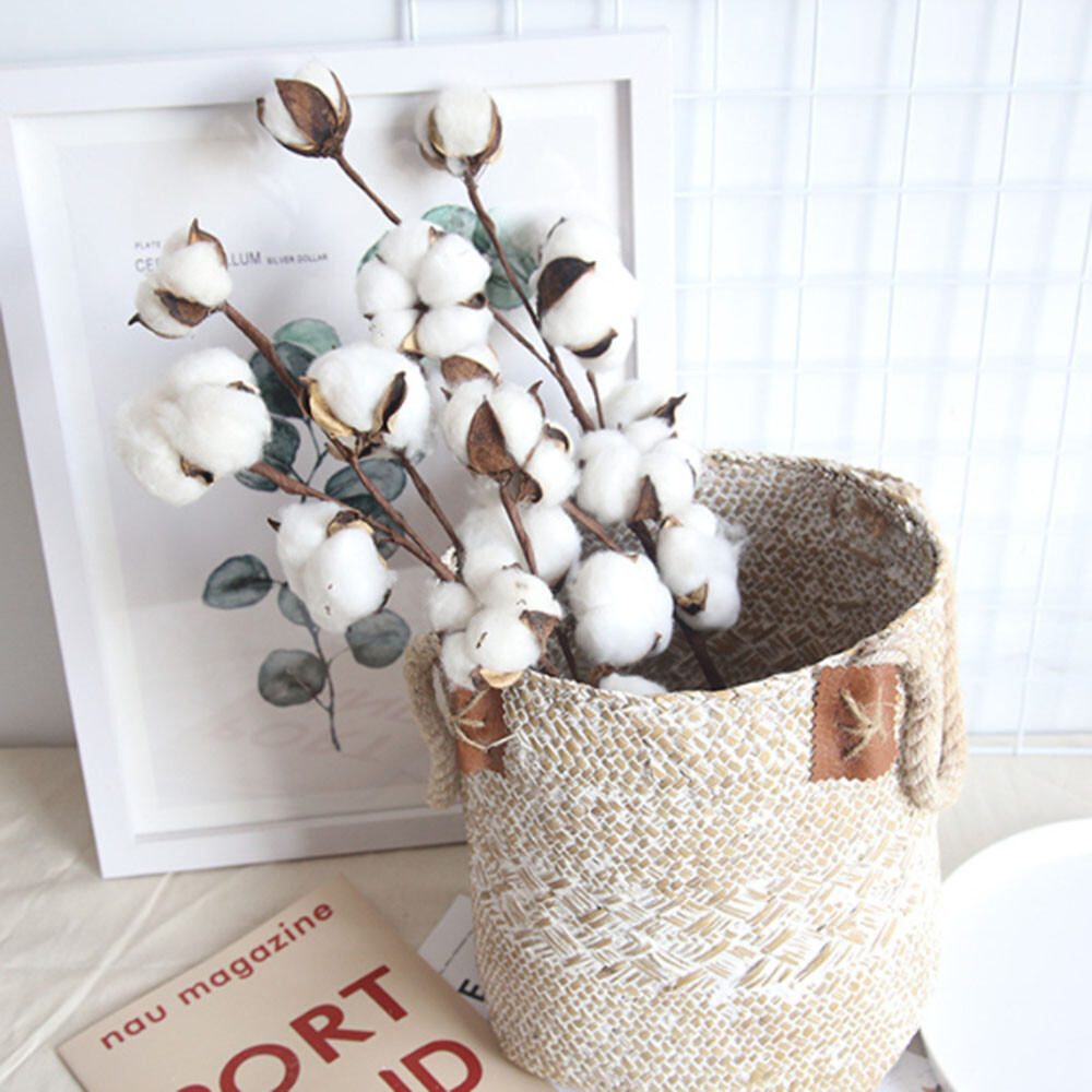 Naturally Dried 10 Heads Cotton Flower with Long Stem for Home, Wedding etc