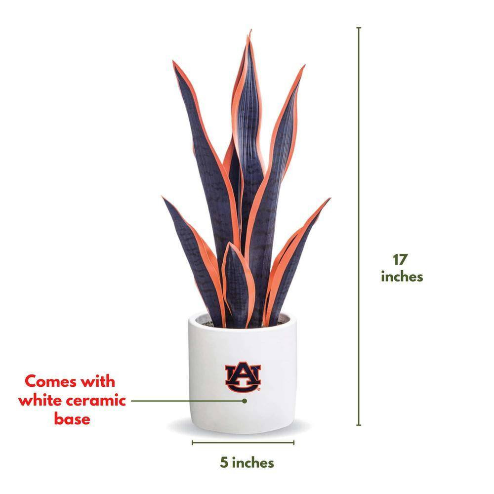 20 In. Auburn Artificial Snake Plant – Auburn Fan Gifts