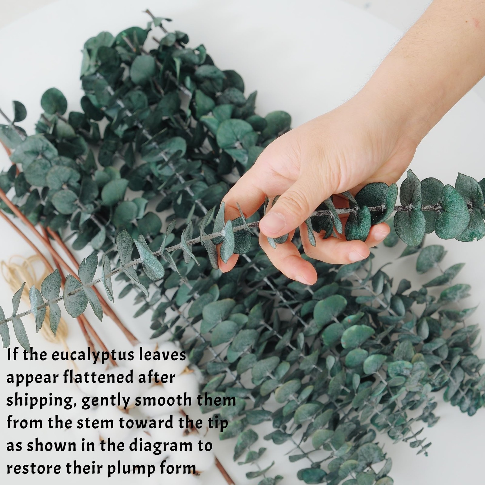 16 PCS Dried Eucalyptus Stems, 17″ Real Preserved Eucalyptus Bouquet for Wedd…