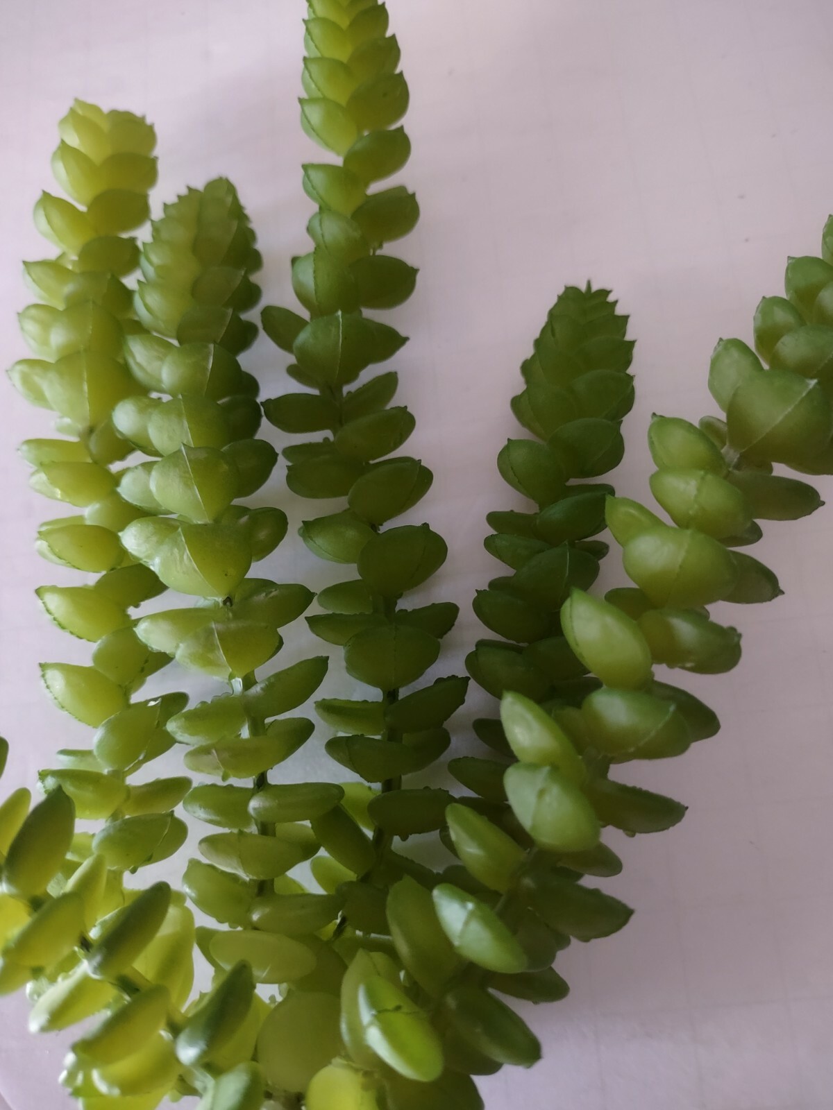 Donkey tail Succulent. Silk Flower Floral Arrangements