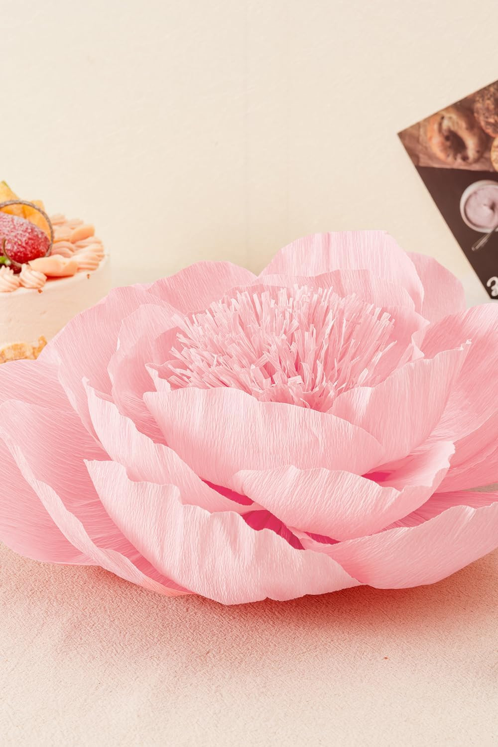 Crepe Paper Flowers Wall Decor Pink Set of 6 Wedding Party Photo Backdrop