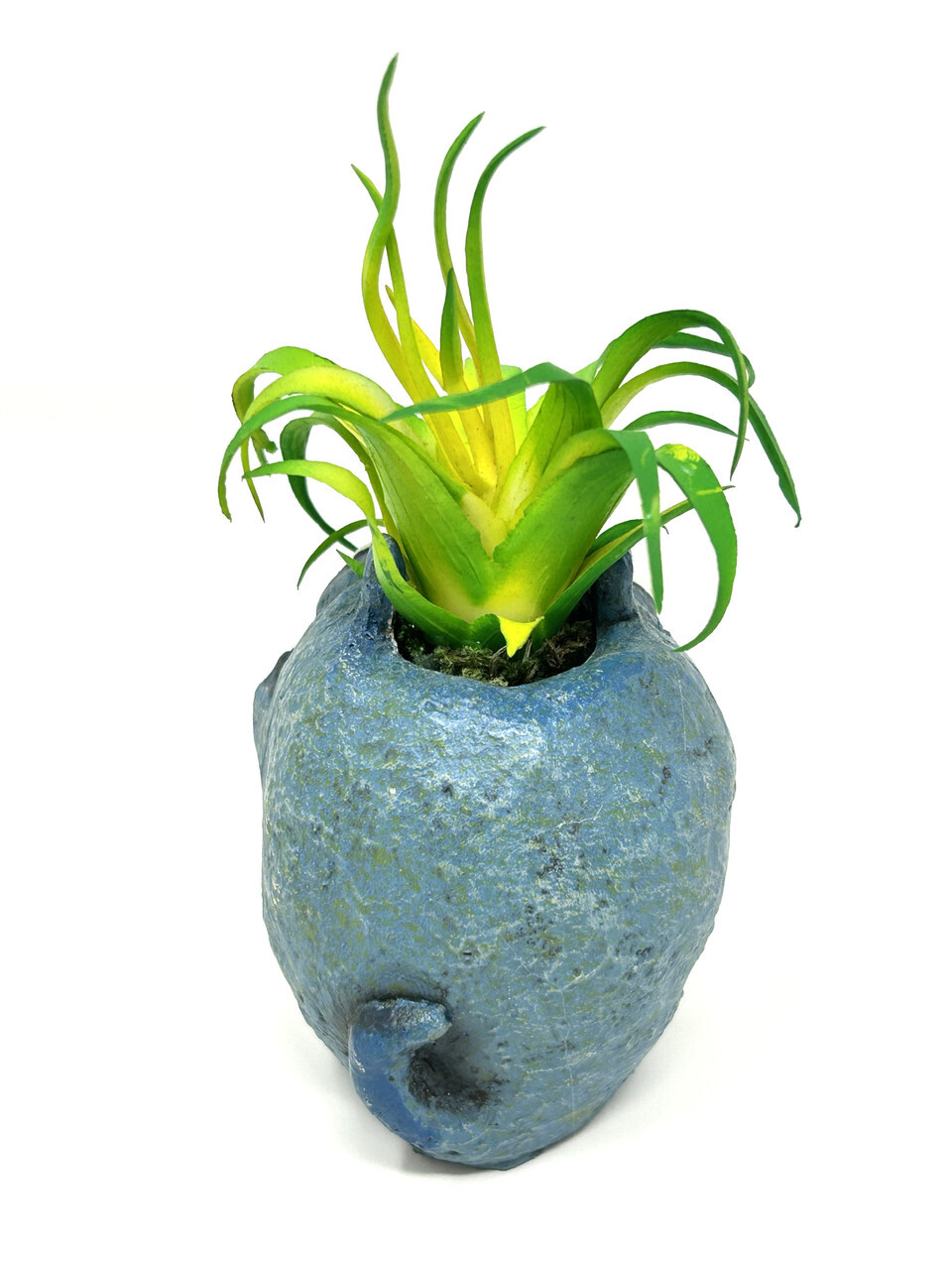 4.5 in. Potted Blue Monster MURPHY Blob House Mini pot WITH faux Harrisii Air pl