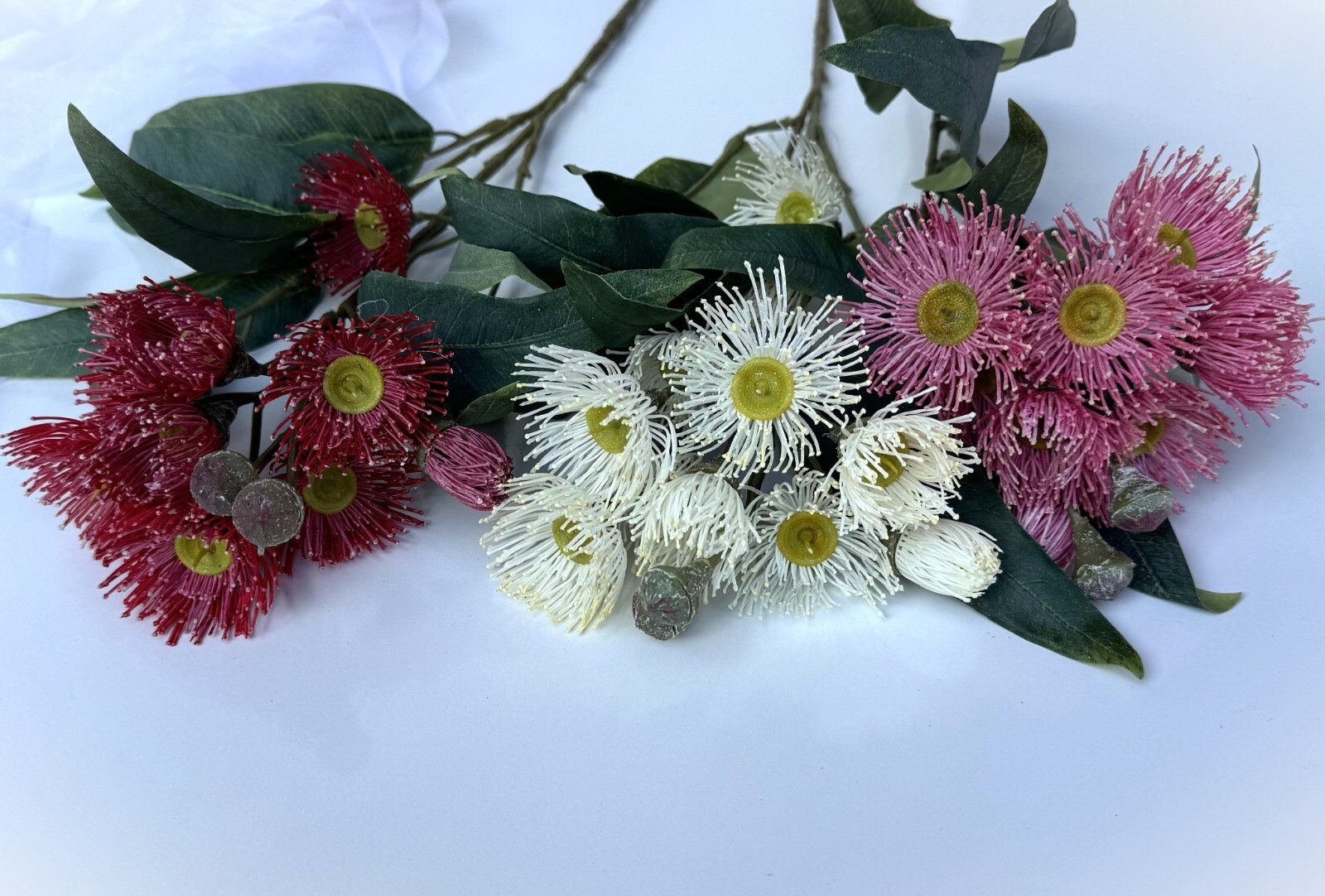 Australian Native Flower Gum Blossoms Stem Eucalyptus Pink Cream Red Blossoms x1