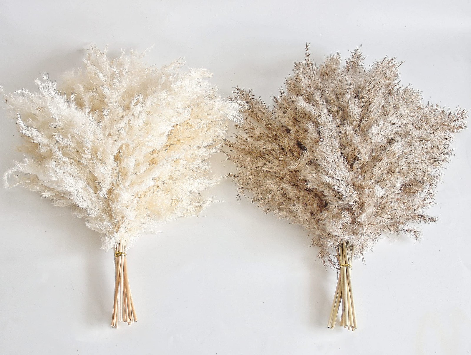30 PCS Boho Decor, Fluffy Pompas Grass, Natural Dry Pampas Grass Small, Short…