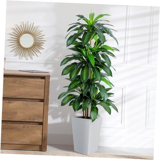 Artificial Dracaena Tree with White Tall Planter, 5ft Tall Dracaena Plant