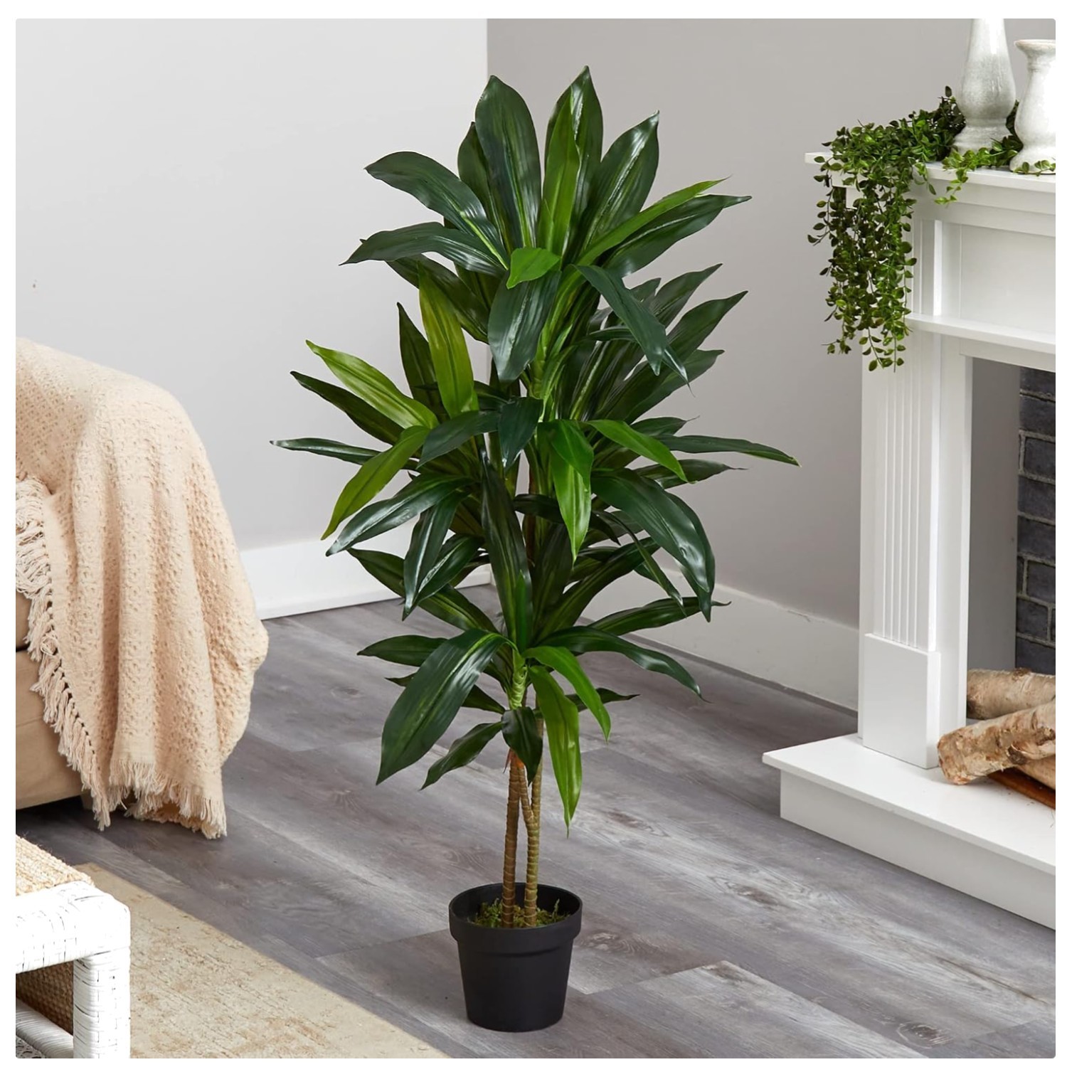 Large Indoor Silk Dracaena Plant – Maintenance-Free, Stylish