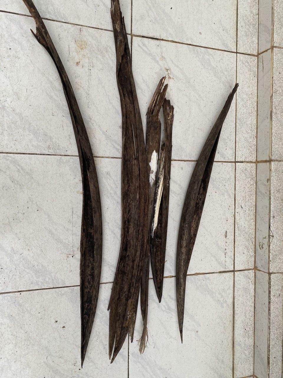 Coconut Tree Dried Spathe Diy Home Deco’s 100 Pure Organic Craft Item
