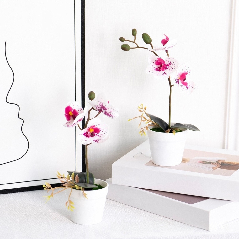 Silk Phalaenopsis Orchid Potted Plant 26cm for Contemporary Home Office