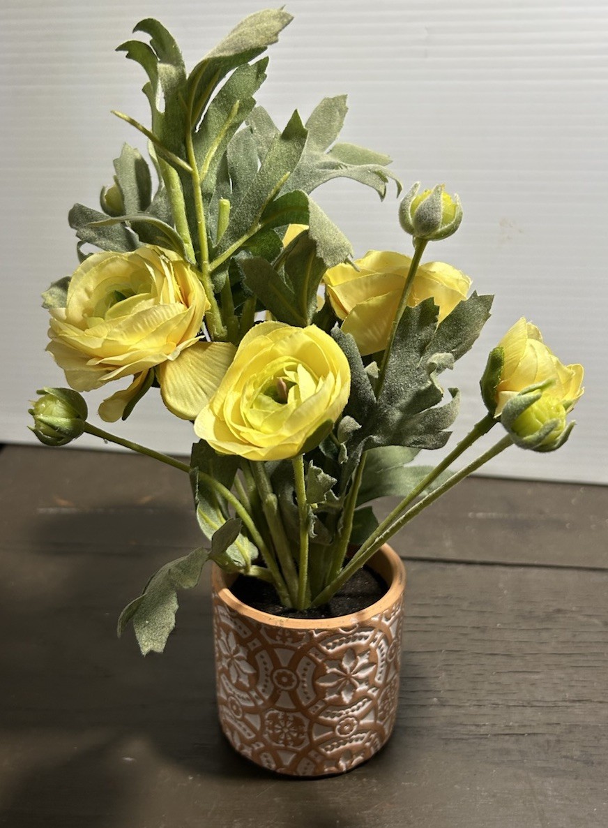 Yellow Ranunculus Flowers In Patterned, Terra-Cotta Pot, Sage, Green Foliage