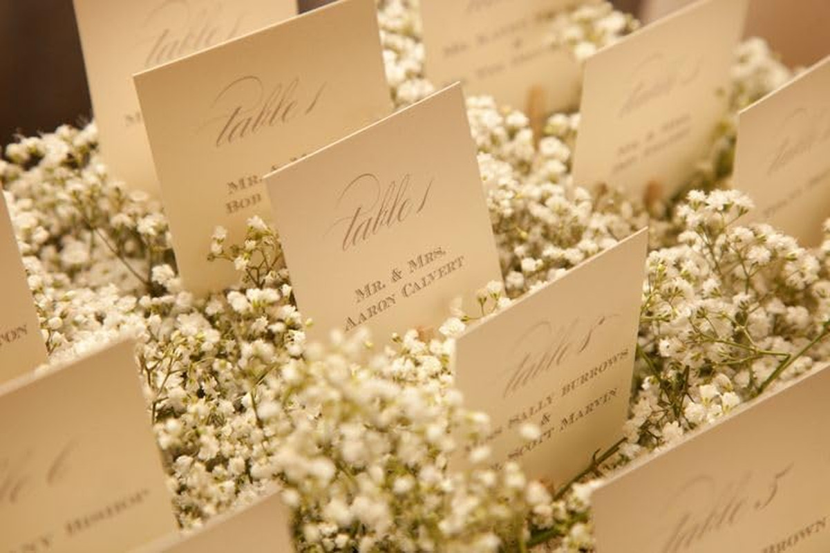 6000+ Mini Dried Baby’S Breath Flowers, 100 Pcs Ivory White Gypsophila, 6In | Mi