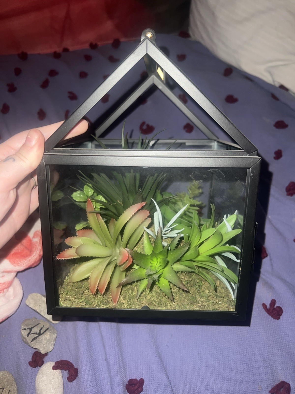 9 x 7 X 7 Metal And Glass Terrarium With Faux Succulent Plants