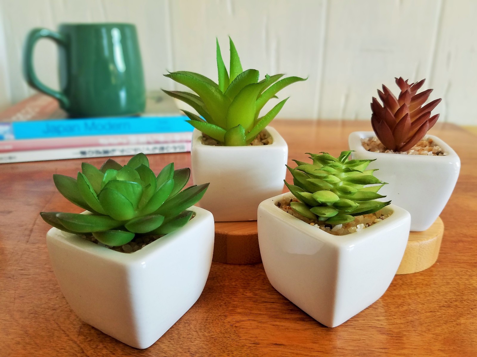 Party Favor Artificial Succulent Set in White Ceramic Pot Mini Plant Home Decor