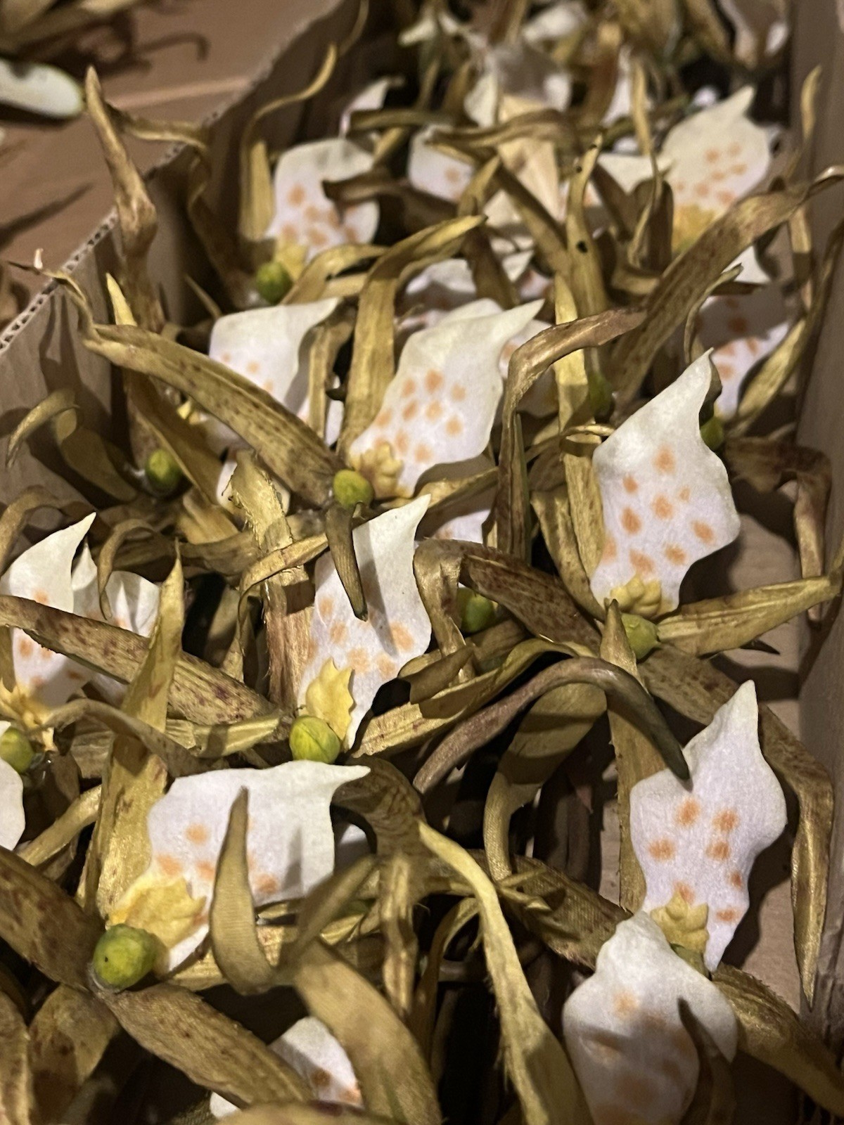 12 Stems Spider Lily Orchid 37″ Tall Green Yellow Artificial Flowers Decor