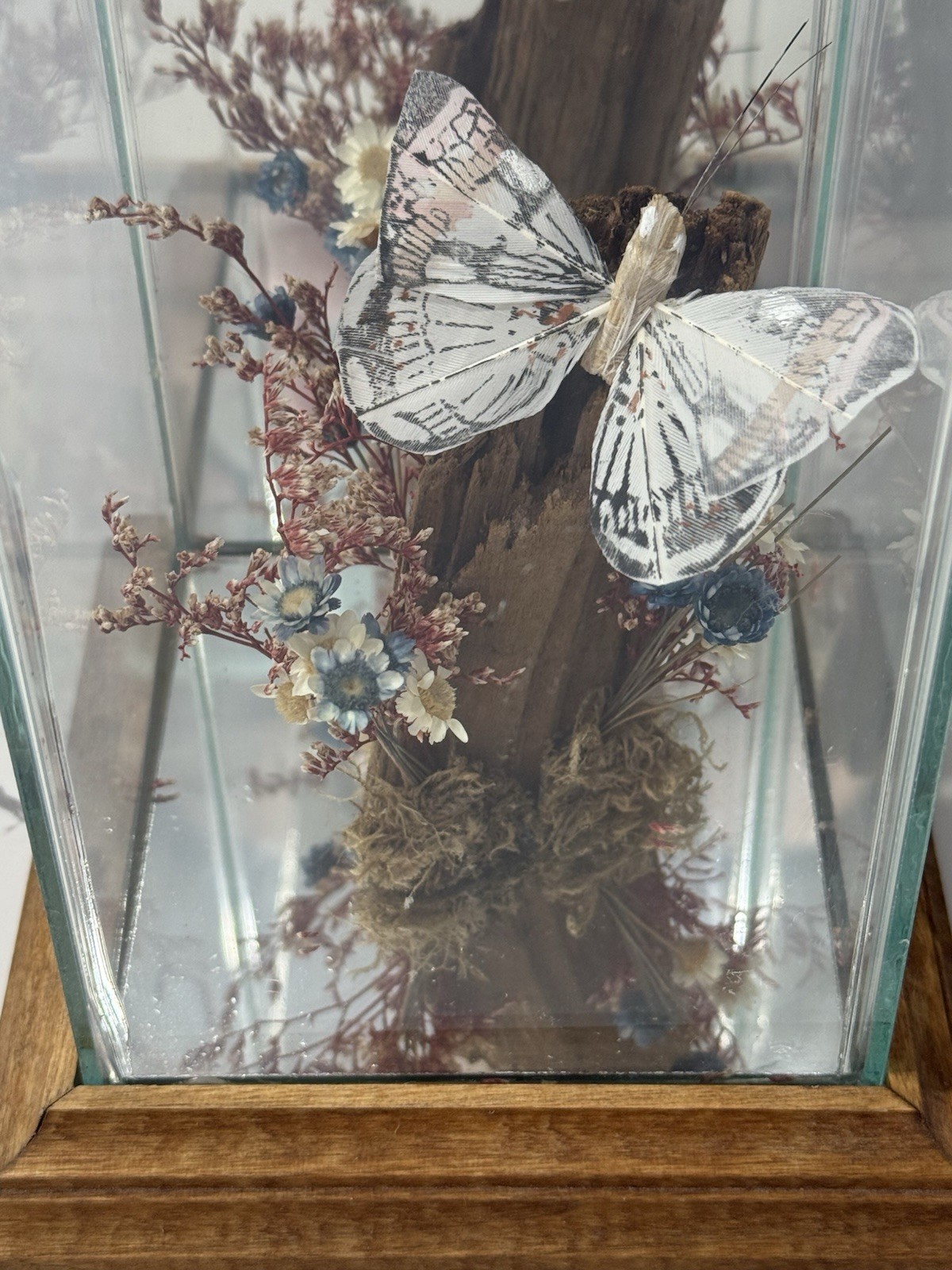 Glass Display Terrarium Butterfly (Faux) Dried Florals Wood Base CottageCore
