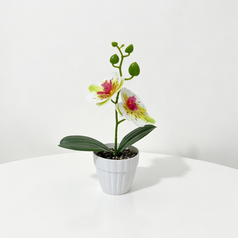 White Green Black Purple Orange 3D Printed Orchid Artificial Plant Pot