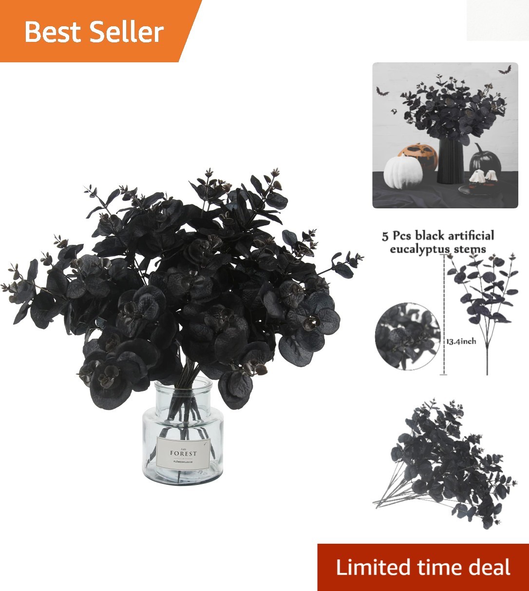 Stunning 5-Piece Black Eucalyptus Stems – Create Elegant Floral Arrangements